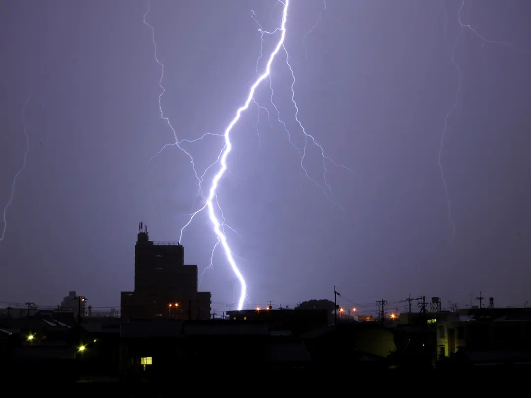 雷コンサルティング